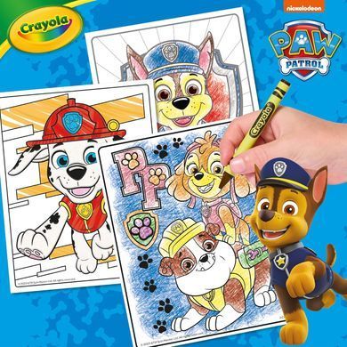Уценка Большой подарочный набор для творчества 5в1 Paw Patrol Crayola 04-2940