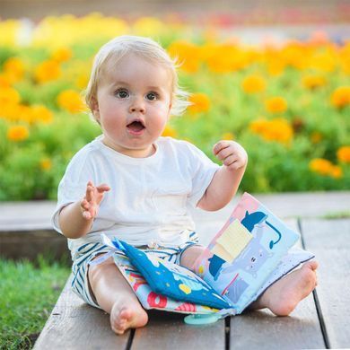 Уценка Развивающая книжка для коляски Sensory book Что надевает мишка Пол Taf Toys 12605