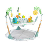 Игровой развивающий центр для малышей 6 в 1 Ingenuity Tummy to Toes 16904
