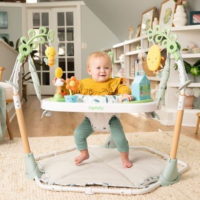 Ігровий розвиваючий центр для малюків 6 в 1 Ingenuity Tummy to Toes 16904