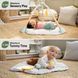 Ігровий розвиваючий центр для малюків 6 в 1 Ingenuity Tummy to Toes 16904