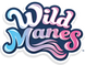 Игровой набор с лошадкой Бейли Wild Manes Пляжный отдых 723304