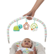 Крісло-гойдалка Happy Safari Bouncer Bright Starts Kids II 11508