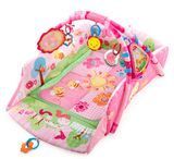 Уцінка Ігровий центр для малюка Веселий сад Bright Starts 5в1 Garden Fun Place Deluxe Edition Kids II 9298