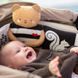 Розвиваюча книжка-розкладушка 2 в 1 Обійми ведмедика Snuggle Bear Book Taf Toys 13795