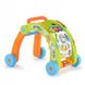 Інтерактивні ходунки Walker 3 в 1 Little Tikes 640957X1PO