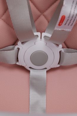 Стульчик для кормления 2 в 1 Evo Velano 45684 pink