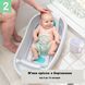 Детская ванночка 3 в 1 Comfy Clean Deluxe Ingenuity 19787