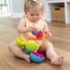 Сенсорна іграшка-сортер Омбі Сфери Fat Brain Toys Oombee Ball F230ML