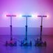 Трехколесный самокат Mini Micro Deluxe Magic Purple MMD129 светящиеся ручки и LED колеса