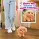 Интерактивная игрушка Furreal Пудель Wag-a-Lots Just Play 28207