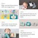 Уценка Развивающая опрокидывающая книга приключения Коалы Кимми Tummy-Time Book Taf Toys 12395
