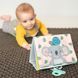 Уценка Развивающая опрокидывающая книга приключения Коалы Кимми Tummy-Time Book Taf Toys 12395