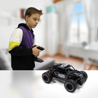 Уценка Внедорожник на радиоуправлении Speed ​​King Racing Drift (1:14, 2.4GHz, 6V) Off-road Crawler Sulong Toys SL-309RHMBl