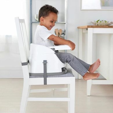 Детское сиденье-бустер Baby Base 2 в 1 Cashmere Ingenuity 10678