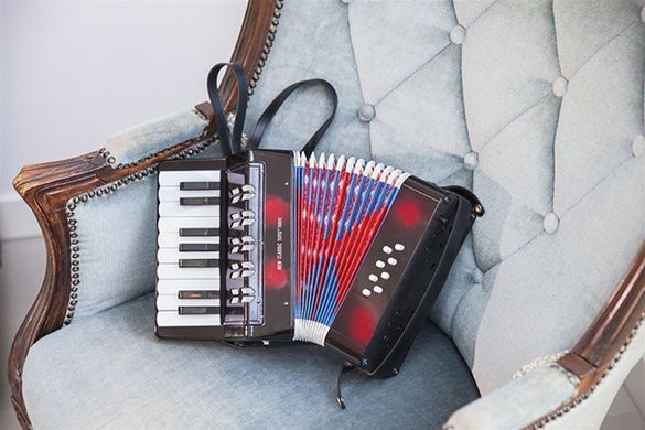 Детский аккордеон First Melodies New Classic Toys 10057 с музыкальной книгой