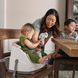 Детское сиденье-бустер Baby Base 2 в 1 Cashmere Ingenuity 10678