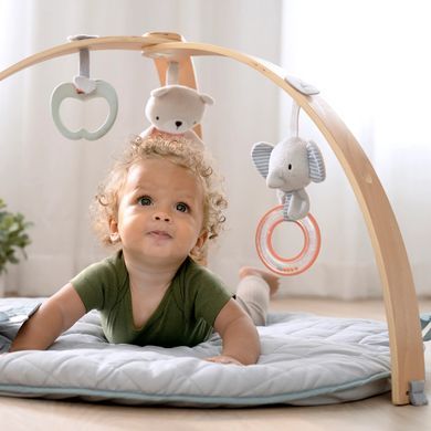 Развивающий коврик Cozy Spot Ingenuity 12126