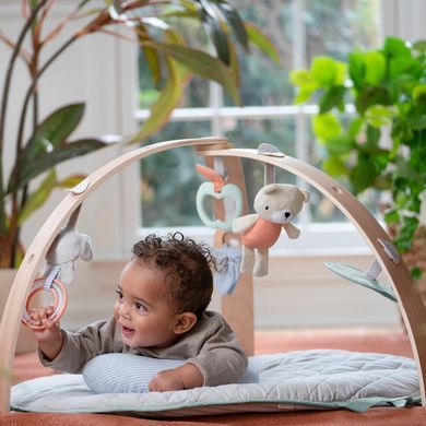 Развивающий коврик Cozy Spot Ingenuity 12126
