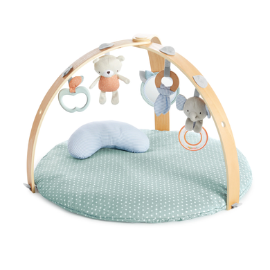 Развивающий коврик Cozy Spot Ingenuity 12126