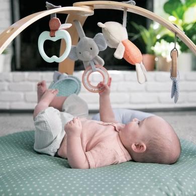 Развивающий коврик Cozy Spot Ingenuity 12126