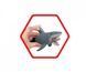 Ігровий набір Катер (50 см) Полювання на акул Shark Attack Dickie Toys 3779001 світло та звук