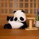 Колекційна фігурка-сюрприз Panda Roll Pop Top 52Toys 22CB437GG13