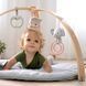 Развивающий коврик Cozy Spot Ingenuity 12126