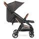 Легкая прогулочная коляска Selfie 500 Peg-Perego IP22000000GS53SQ53 (коричневая с полоской)
