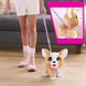 Интерактивная игрушка Poop-A-Lots Corgi Furreal 28057