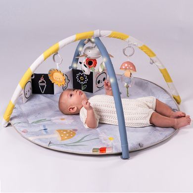 Развивающий музыкальный коврик Melody Bloom Gym Taf Toys 13495