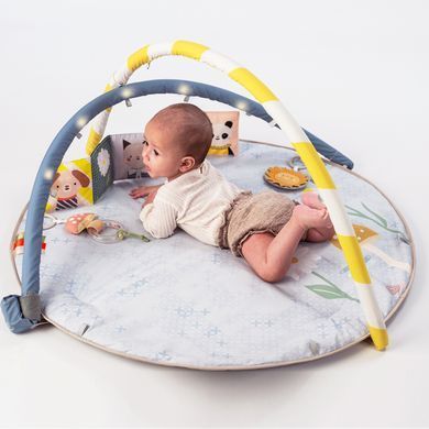 Развивающий музыкальный коврик Melody Bloom Gym Taf Toys 13495