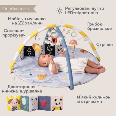 Развивающий музыкальный коврик Melody Bloom Gym Taf Toys 13495