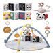 Развивающий музыкальный коврик Melody Bloom Gym Taf Toys 13495