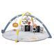 Развивающий музыкальный коврик Melody Bloom Gym Taf Toys 13495