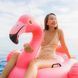 Надувний плотик Fashion Ride-On Фламінго Intex 57558 (147 х 140 х 94 см)