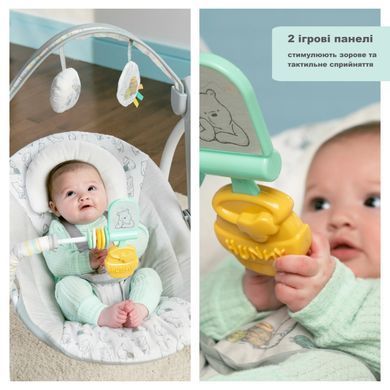 Крісло-гойдалка Winnie the Pooh Classic Pals Bright Starts 17242
