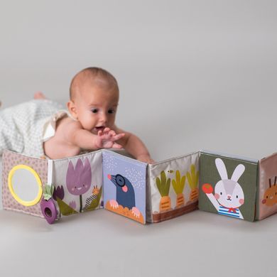 Розвиваюча книжка-розкладушка Зайчики колеція Садочок у місті Taf Toys 13065