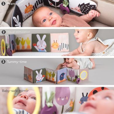 Розвиваюча книжка-розкладушка Зайчики колеція Садочок у місті Taf Toys 13065