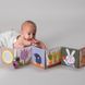Розвиваюча книжка-розкладушка Зайчики колеція Садочок у місті Taf Toys 13065