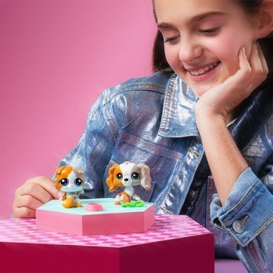 Игровой набор Littlest Pet Shop Друзья-двойники Hasbro 00626