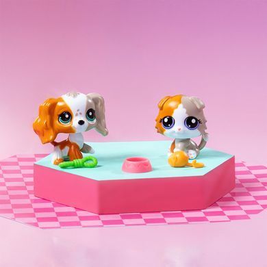 Игровой набор Littlest Pet Shop Друзья-двойники Hasbro 00626