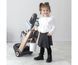 Дитячий візок для прибирання з ручним пилососом Rowenta Smoby 7600330326 зі звуком
