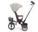 Дитячий триколісний велосипед Milly Mally Twinkle Grey MMTW02G з поворотним сидінням