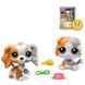 Игровой набор Littlest Pet Shop Друзья-двойники Hasbro 00626