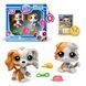 Игровой набор Littlest Pet Shop Друзья-двойники Hasbro 00626