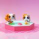Игровой набор Littlest Pet Shop Друзья-двойники Hasbro 00626