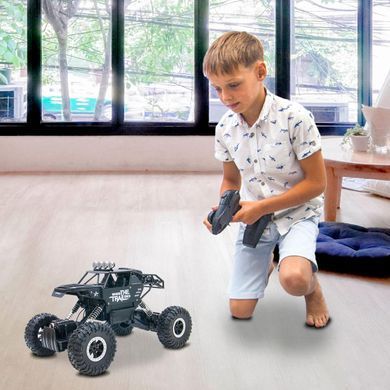 Позашляховик на радіокеруванні Off-Road Metal Crawler 4WD Where The Trail Ends (1:14, 7.2V) Sulong Toys SL-121RHMBl