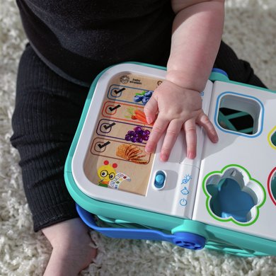 Іграшка сортер кошик для покупок Magic Touch Baby Einstein 800913
