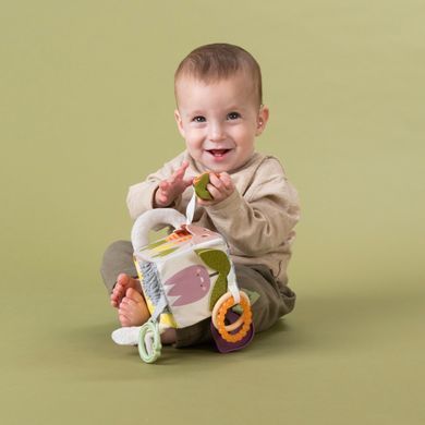 Развивающая игрушка-кубик Activity Cube Urban Garden Taf Toys 13095 Садочок в городе